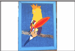 orig_Paradiesvogel